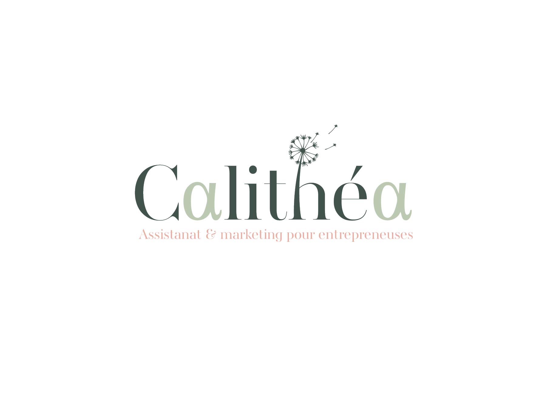 Création identité visuelle Calithéa